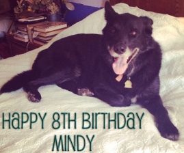 Happy 8th Birthday Mindy